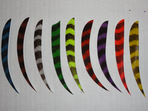 5-inch Parabolic Cut Barred Feathers by TrueFlight