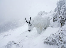 Real Wild 3D Mountain Goat Foam Archery Target