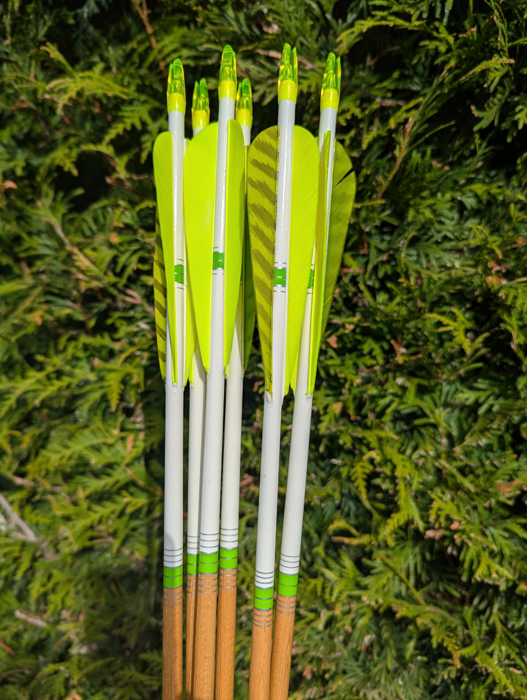 Footed Wood Arrows by Rusty's Feet, 1/2 Dozen