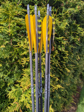 Gold Tip Warrior Carbon Arrows