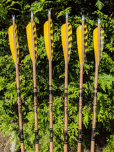 Standard Gold Tip Traditional Carbon Arrows