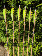 Standard Gold Tip Traditional Carbon Arrows