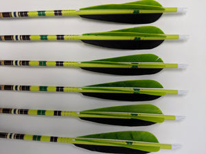 600 Spine Gold Tip Classic Traditional Carbon Arrows